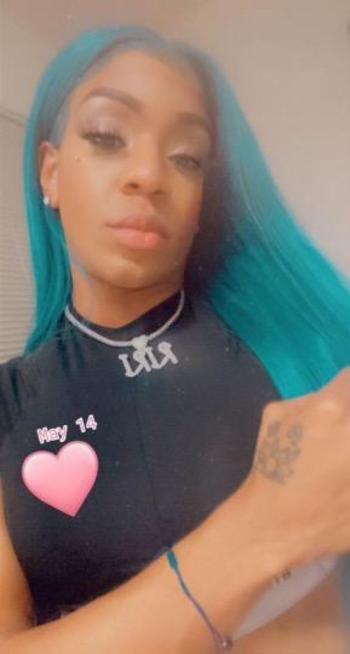 5616444431, transgender escort, West Palm Beach