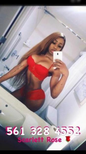 5613284552, transgender escort, West Palm Beach