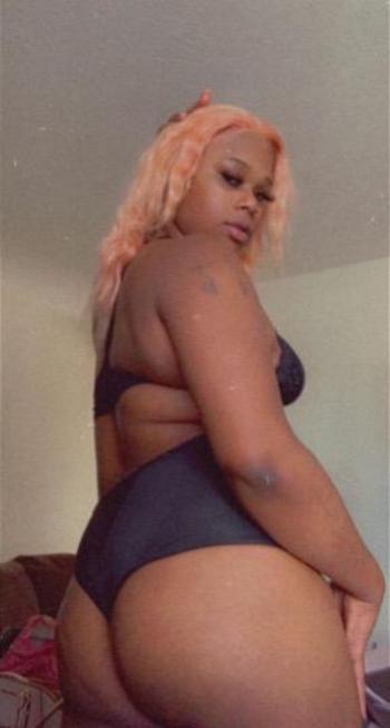 3057484426, transgender escort, West Palm Beach