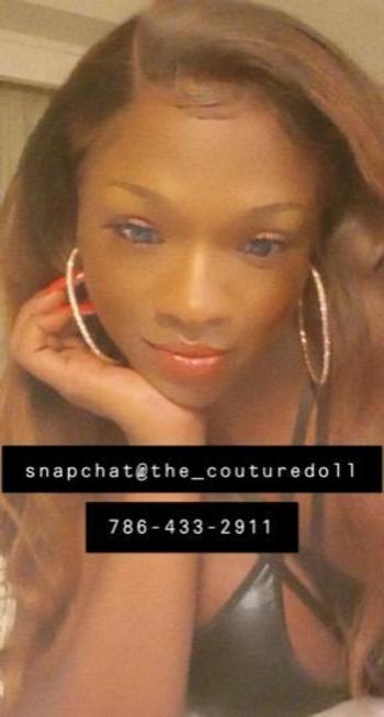 7864332911, transgender escort, West Palm Beach