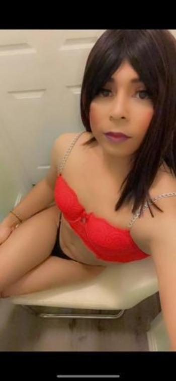 5713949376, transgender escort, West Palm Beach